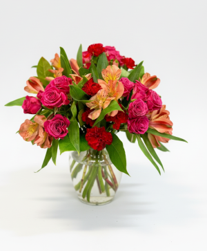 Bursting with Love Alstroemeria 