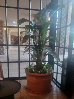 Business Plant Maintenance  