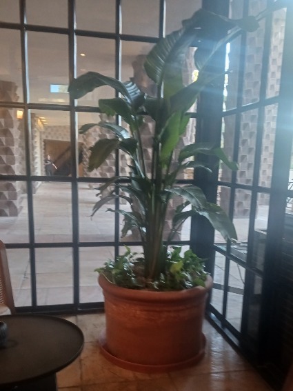 Business Plant Maintenance  