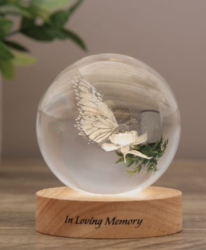 Butter Fly Whisper Crystal Globe