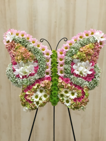butterfly 