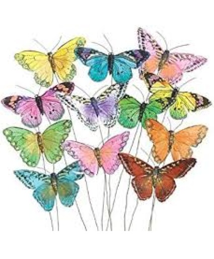 Butterfly 