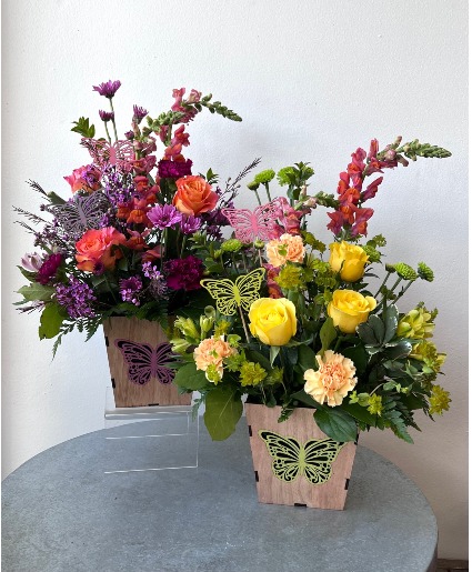Butterfly Blooms 