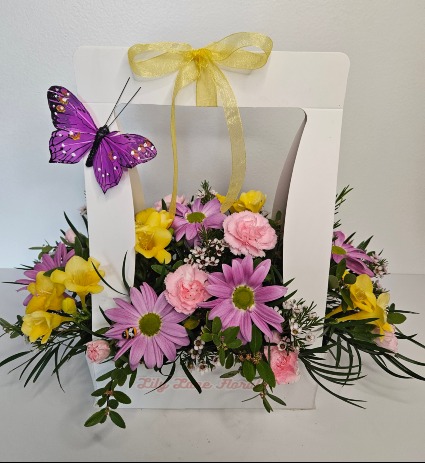 Butterfly Box Arrangement