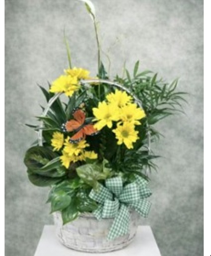Butterfly & Flowers Garden Basket Plants
