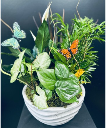 Butterfly Garden  in Fenton, MI | FENTON FLOWERS & EVENTS