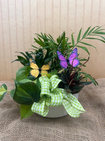 BUTTERFLY GARDEN WOODBURY'S ORIGINAL in Springfield, VT | WOODBURY FLORIST