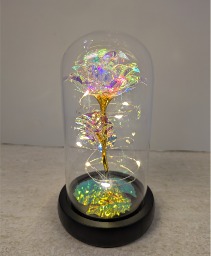 SOLD OUT  Butterfly Globe NFS-GDW Lighted Rose