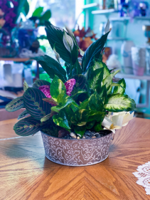 Butterfly Haven  Dish Garden