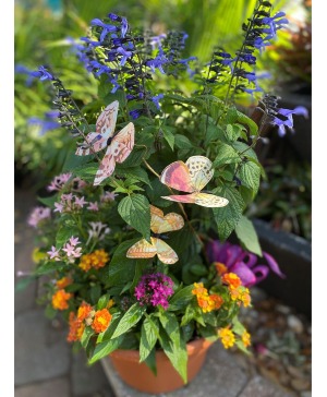Butterfly & Hummingbird Garden Party 