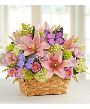 Butterfly Kisses - 00180 