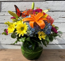 Butterfly Kisses  