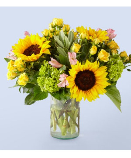 Sunflower Kisses 
