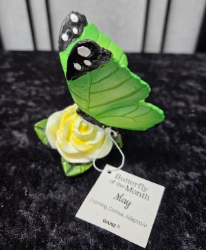 Butterfly of the Month  Resin Figurine