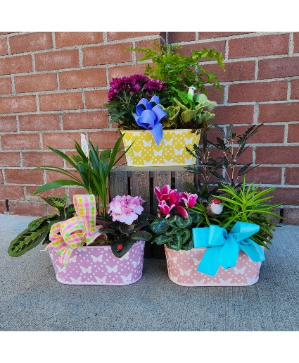 Butterfly Planter Indoor Tropical Planter