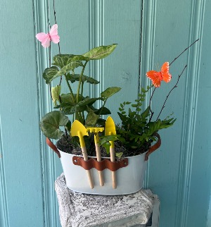 BUTTERFLY PLANTER PLANT ARRANGEMENT