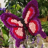Butterfly Tribute 