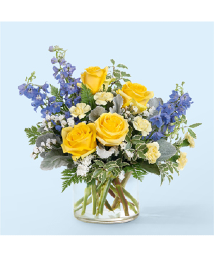 Butterfly Wings R5645d Arrangement