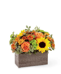 Butterscotch Blossoms V7122s Arrangement