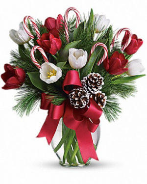 By Golly, It's Jolly T118-2 14"(w) x 15.5"(h)