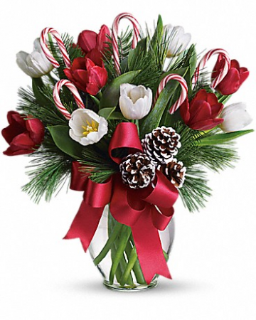 By Golly, It's Jolly T118-2 14"(w) x 15.5"(h)