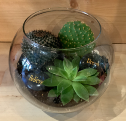 Cactus Planter 