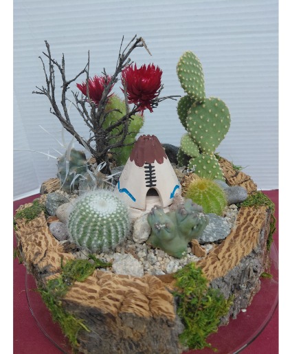 Cacuts Garden w/Teepee incense burners Cactus 