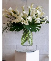 Beautifully Renewed  Long Stem Cala Lilies  