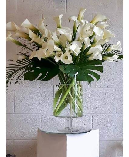 Beautifully Renewed  Long Stem Cala Lilies  