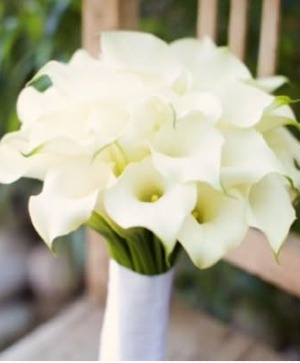 Calla Lily Bouquet  
