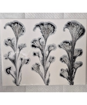 Calla Lilies Painting By BD Arts 
