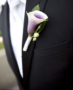 Calla lily boutineer 