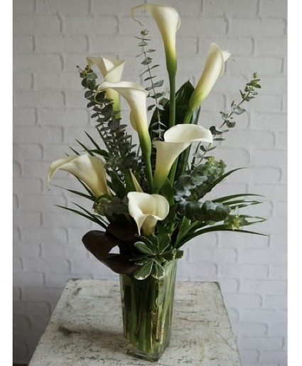 Callas Calling 