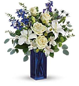 CALMING COBALT EVERYDAY