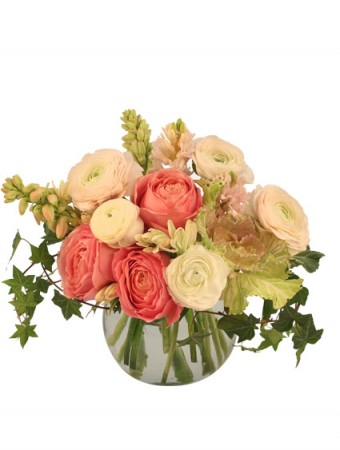 Calming Coral Arrangement in Cambridge, ON | KELLY GREENS FLOWERS & GIFT SHOP