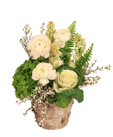 Calming Sages Flower Design  in Newark, OH | JOHN EDWARD PRICE FLOWERS & GIFTS