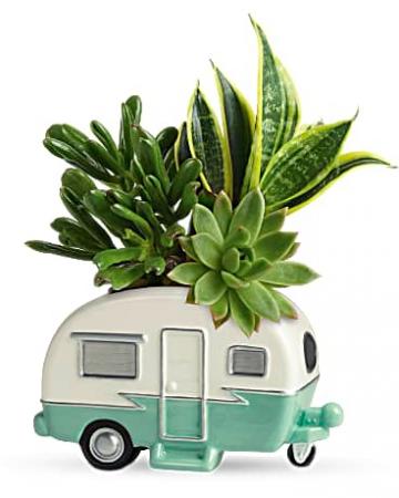 Camper Succulent Garden  