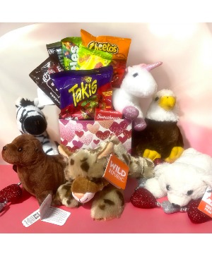 Candy Bouquet w/Stuffed Animal 