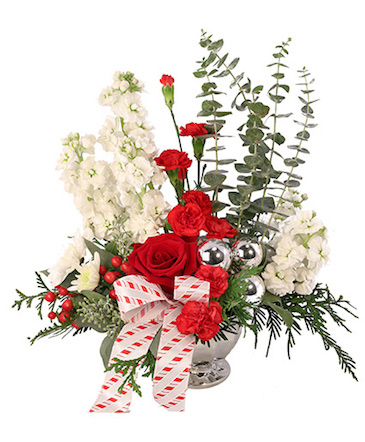 Candy Cane Carnations Christmas Arrangement in Darien, CT | DARIEN FLOWERS