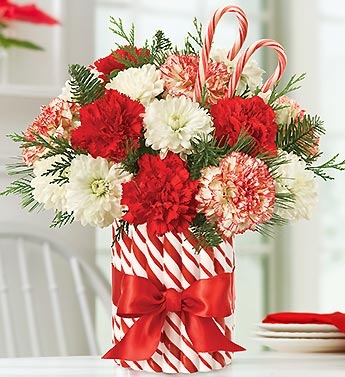 CANDY CANE CHRISTMAS 