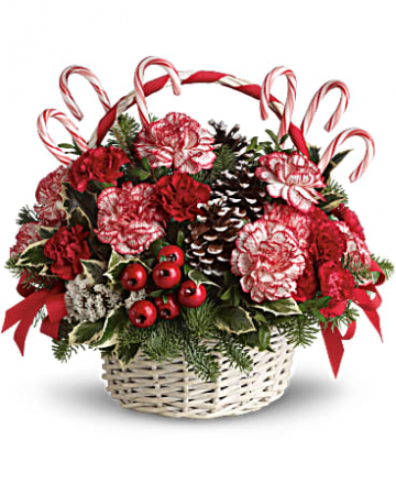 Candy Cane Christmas 