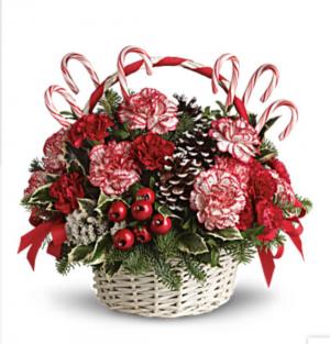 Candy cane Christmas  