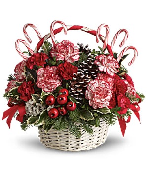 Candy Cane Christmas 