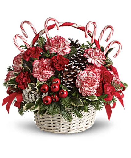 Candy Cane Christmas 