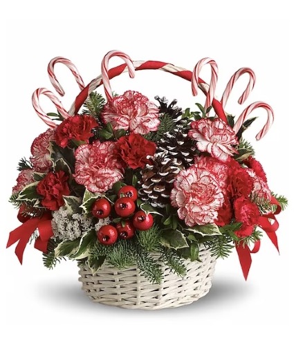 Candy Cane Christmas 