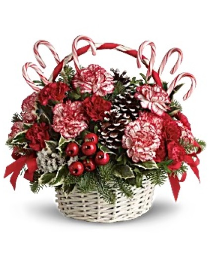 Candy Cane Christmas Christmas