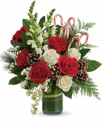 CANDY CANE CHRISTMAS Vase Arrangement