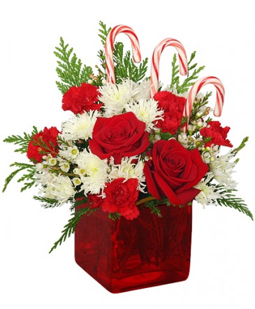 CANDY CANE CUBE Holiday Flowers in Charlotte, NC | E&J Flower Shop