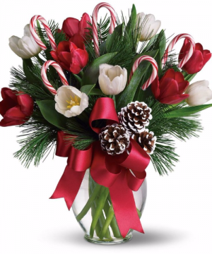 Candy Cane Delight 