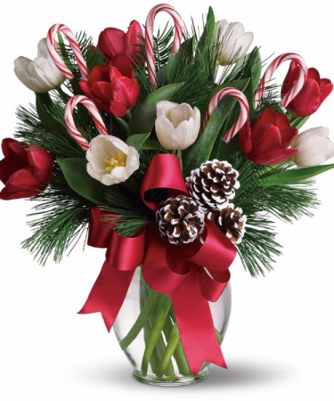Candy Cane Delight 
